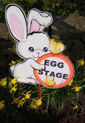 aaah, new egg stage sign
