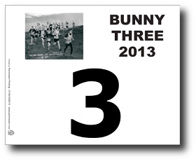 Race number, BR3