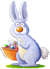 Bunny