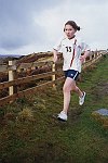 Click on thumbnail for larger photo