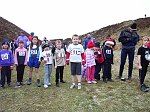 Click on thumbnail for larger photo