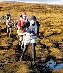 Click on thumbnail for larger photo
