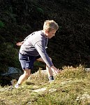 Click on thumbnail for larger photo