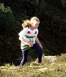 Click on thumbnail for larger photo
