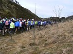 Click on thumbnail for larger photo