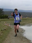 Click on thumbnail for larger photo