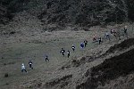 Click on thumbnail for larger photo