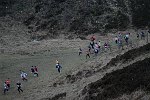 Click on thumbnail for larger photo