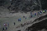 Click on thumbnail for larger photo