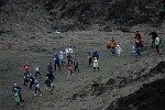 Click on thumbnail for larger photo