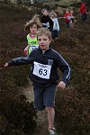 Click on thumbnail for larger photo