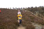 Click on thumbnail for larger photo