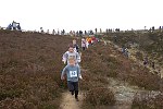 Click on thumbnail for larger photo
