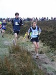 Click on thumbnail for larger photo