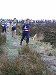 Click on thumbnail for larger photo