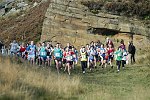 Click on thumbnail for larger photo