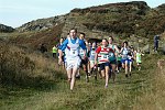 Click on thumbnail for larger photo