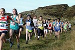 Click on thumbnail for larger photo