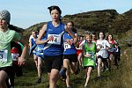 Click on thumbnail for larger photo