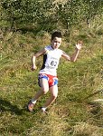 Click on thumbnail for larger photo