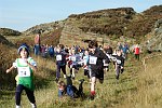 Click on thumbnail for larger photo