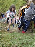 Click on thumbnail for larger photo