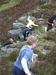 Click on thumbnail for larger photo