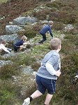Click on thumbnail for larger photo