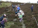 Click on thumbnail for larger photo