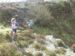 Click on thumbnail for larger photo