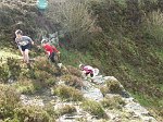 Click on thumbnail for larger photo