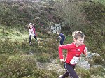 Click on thumbnail for larger photo