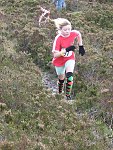 Click on thumbnail for larger photo