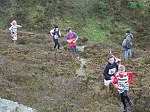 Click on thumbnail for larger photo