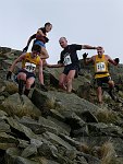 Click on thumbnail for larger photo