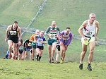 Click on thumbnail for larger photo