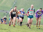 Click on thumbnail for larger photo