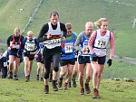 Click on thumbnail for larger photo