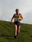 Click on thumbnail for larger photo