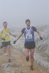 Click on thumbnail for larger photo