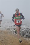 Click on thumbnail for larger photo