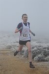 Click on thumbnail for larger photo