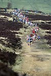 Click on thumbnail for larger photo