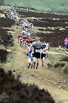 Click on thumbnail for larger photo