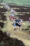 Click on thumbnail for larger photo