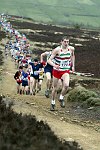 Click on thumbnail for larger photo
