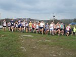 Click on thumbnail for larger photo