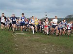 Click on thumbnail for larger photo