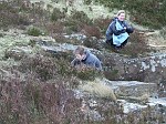 Click on thumbnail for larger photo