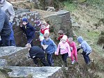 Click on thumbnail for larger photo